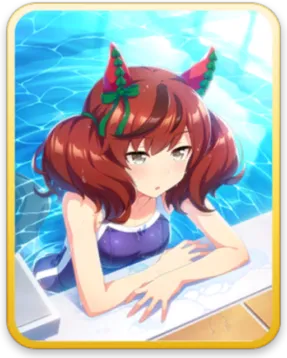 ナイスネイチャ サポートカード