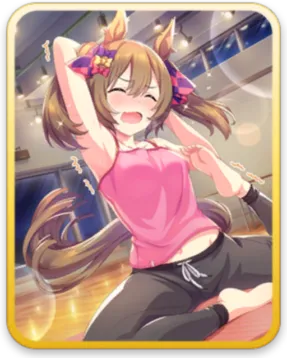 スマートファルコン サポートカード