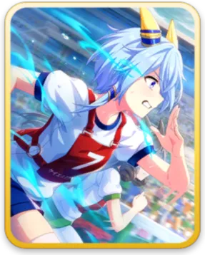 ケイエスミラクル サポートカード