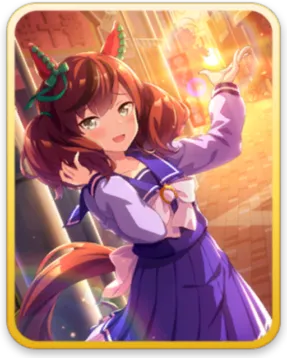 ナイスネイチャ サポートカード