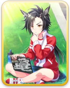 エアシャカール サポートカード