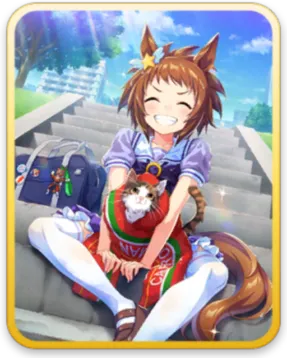 ビコーペガサス サポートカード