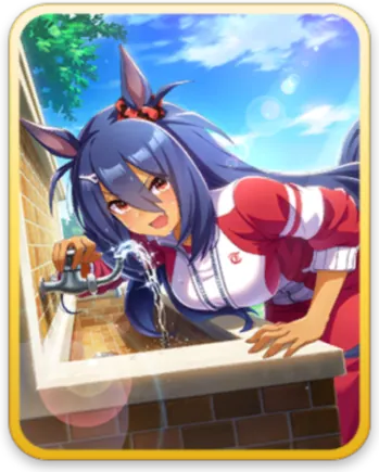 ヒシアマゾン サポートカード