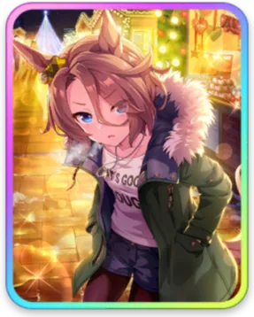 ナリタタイシン サポートカード