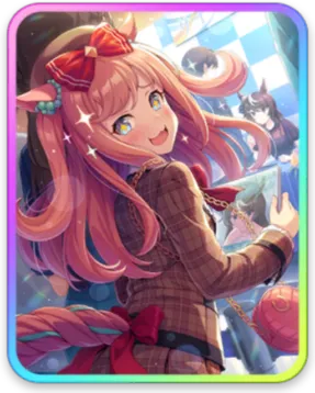 アグネスデジタル サポートカード