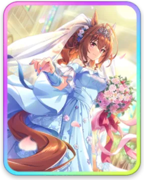 ダイワスカーレット サポートカード