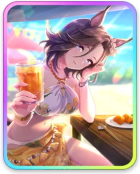 エアグルーヴ サポートカード