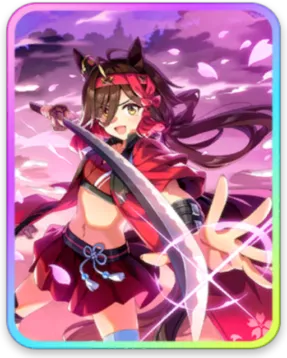 ノーリーズン サポートカード