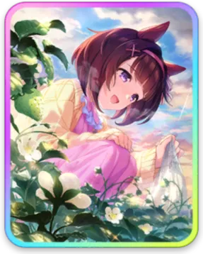 ニシノフラワー サポートカード