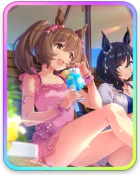 スマートファルコン サポートカード