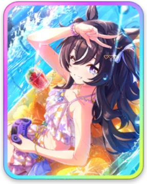 ヴィブロス サポートカード